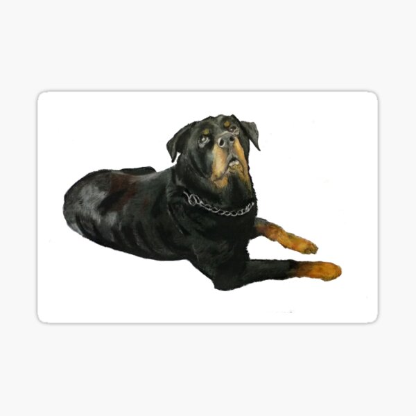 Rottweiler Pegatina