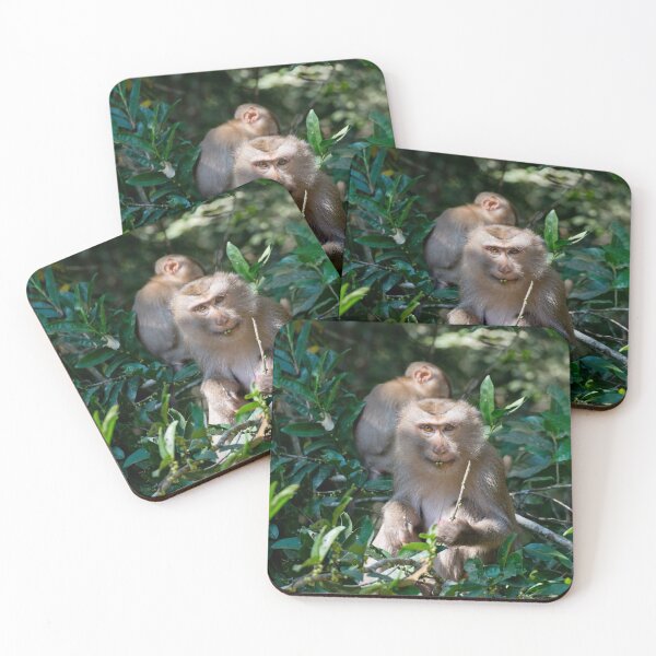 Item preview, Monkey in a tree designed and sold by PitakChai93.