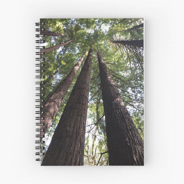 Item preview, Redwoods designed and sold by SpirtualDidi.