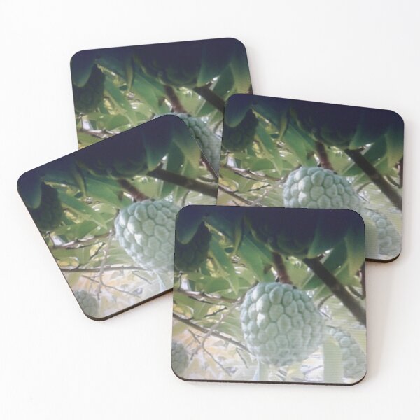 Item preview, Nice custard-apple tree. designed and sold by Lan thi Nguyen.