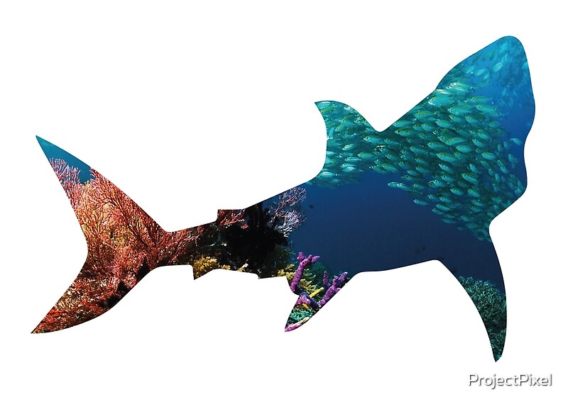 "Shark Silhouette Print" by ProjectPixel | Redbubble