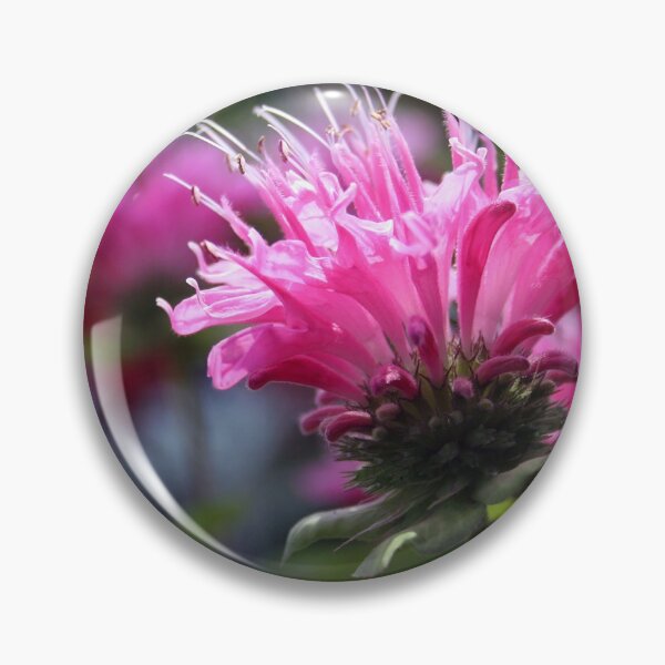 Item preview, Bee Balm designed and sold by martartdesigns.