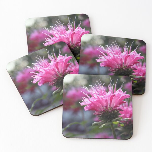 Item preview, Bee Balm designed and sold by martartdesigns.