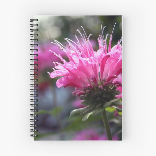 Item preview, Bee Balm designed and sold by martartdesigns.