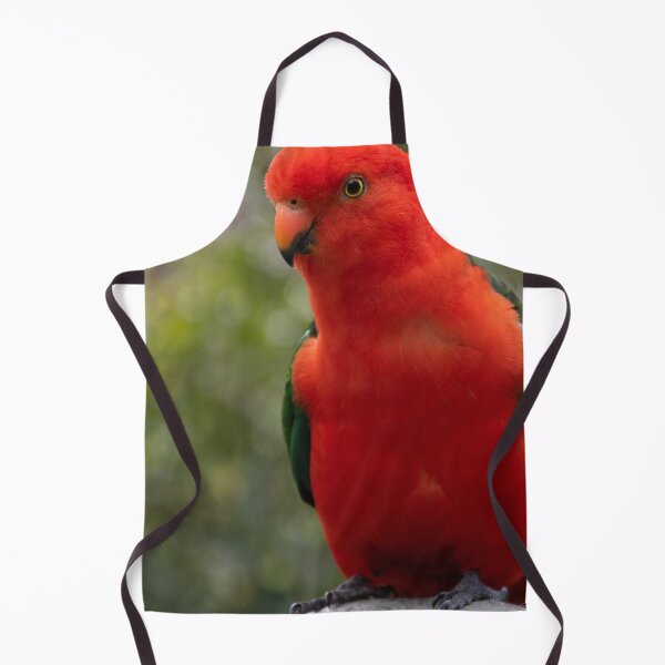 Item preview, King Parrot, Australian native bird designed and sold by Teniche.