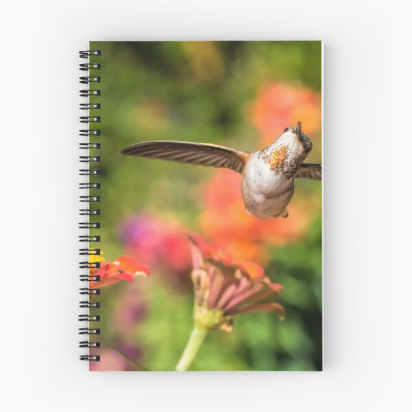Item preview, What's Up designed and sold by MCHerdering Photography.