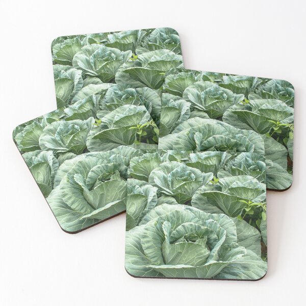 Item preview, cabbages row on  field designed and sold by Alf Ribeiro.