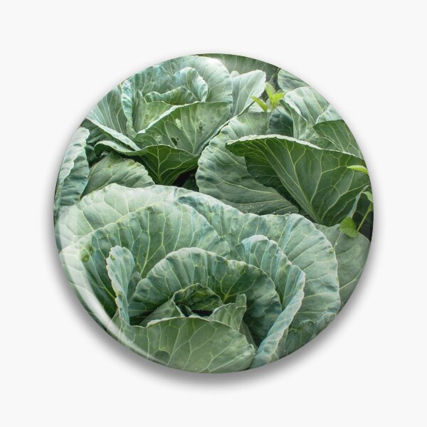Item preview, cabbages row on  field designed and sold by Alf Ribeiro.