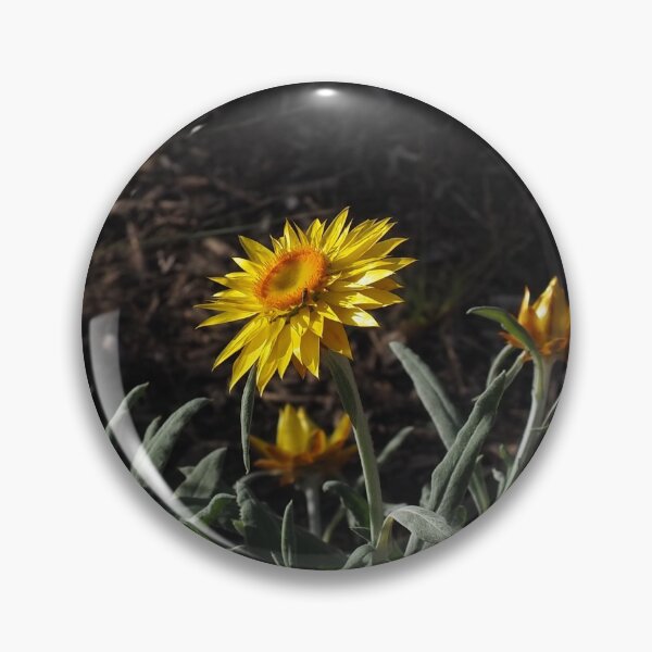 Item preview, some things last longer designed and sold by jayview.