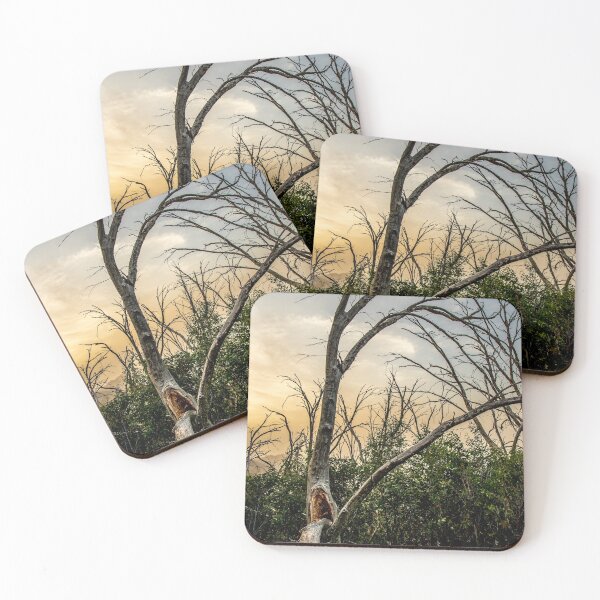Item preview, Snow Gums, Mount Buller, Victoria, Australia designed and sold by Vicki Walsh.