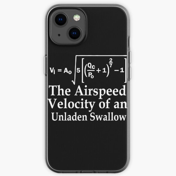 The Airspeed Velocity of an Unladen Swallow iPhone Soft Case