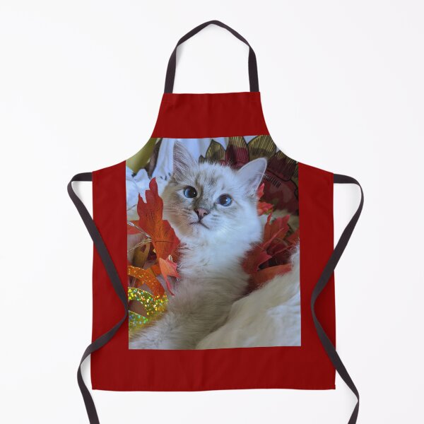 Item preview, Ragdoll kitten Saoirse designed and sold by Fluffycat2020.