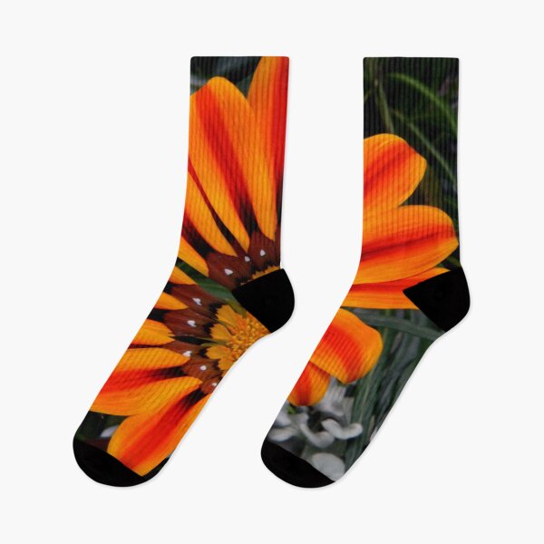 Item preview, Red striped Daisy, Gazania designed and sold by Schoensl.