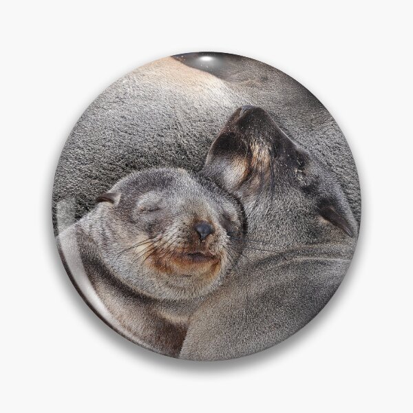 Item preview, Cape Fur Seals, Namibia designed and sold by Schoensl.