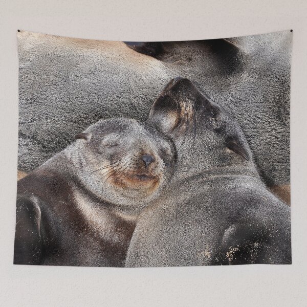 Item preview, Cape Fur Seals, Namibia designed and sold by Schoensl.
