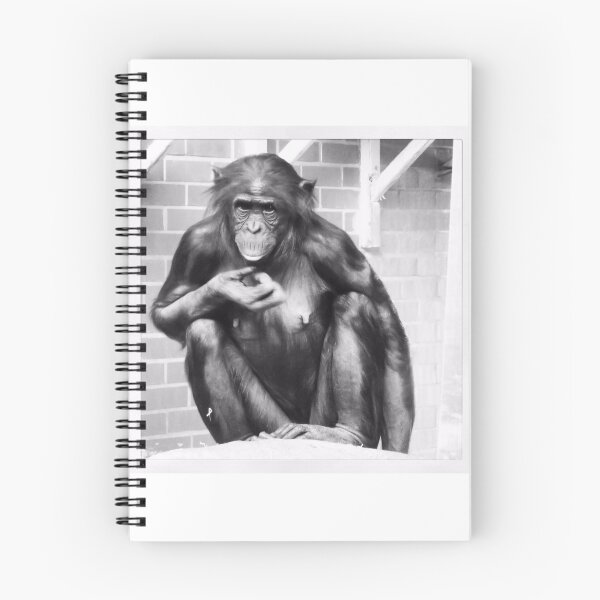 Item preview, Bonobo designed and sold by jorowe.