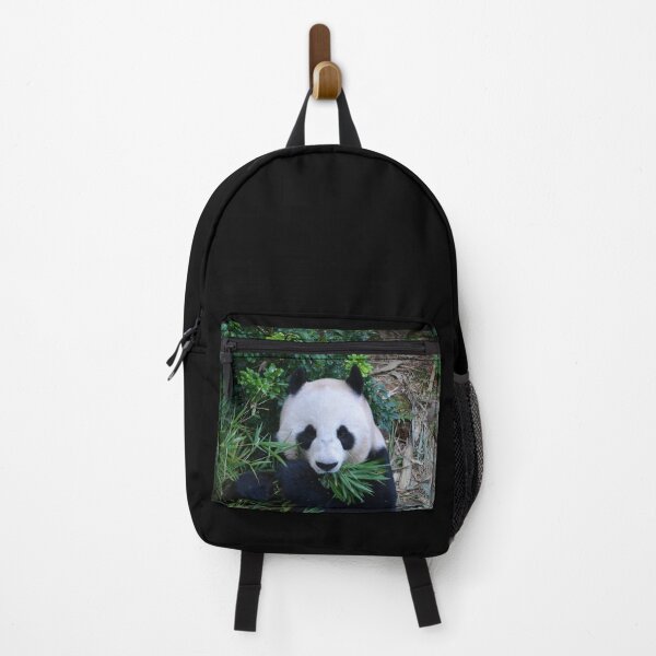 Item preview, Giant Panda eating Bamboo designed and sold by Schoensl.