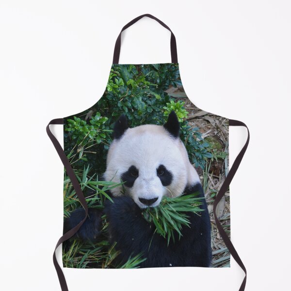 Item preview, Giant Panda eating Bamboo designed and sold by Schoensl.