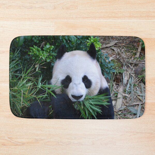 Item preview, Giant Panda eating Bamboo designed and sold by Schoensl.