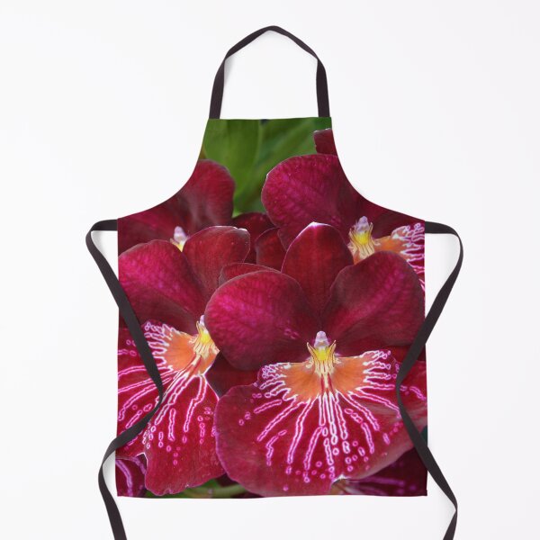 Item preview, Miltonia Miltoniopsis Orchid designed and sold by Schoensl.