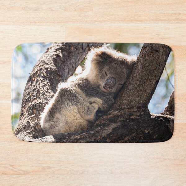 Item preview, Baby koala taking a Sunday afternoon nap designed and sold by Teniche.