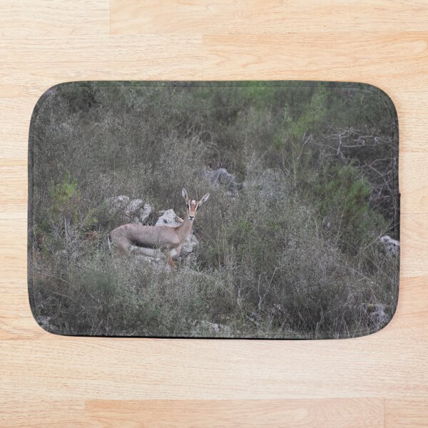 Item preview, Gazelle designed and sold by DanaLauraPhoto.