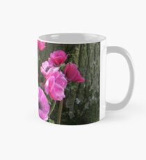So Pretty-in-Pink - Anemonen in den Keukenhof-Gärten Tasse (Standard)