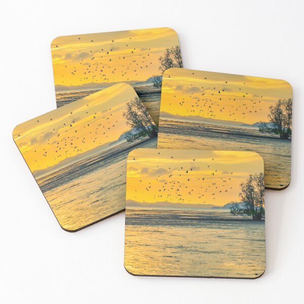Item preview, Flock of birds at sunrise with mangrove tree designed and sold by Kevin Hellon.