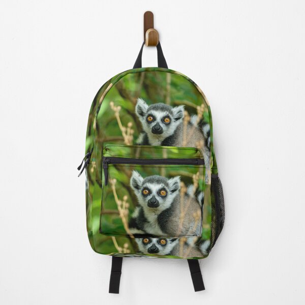 Item preview, Young Ring-tailed Lemur designed and sold by Dalyndigital Photography.