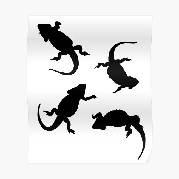 Download Bearded Dragon Silhouette Posters Redbubble