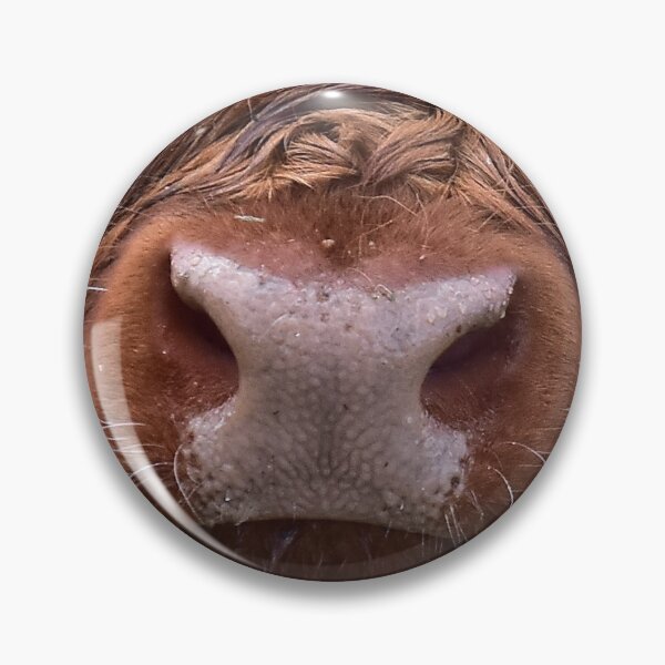 Item preview, Love Cows - Scottish Highland Cattle designed and sold by Glineur.