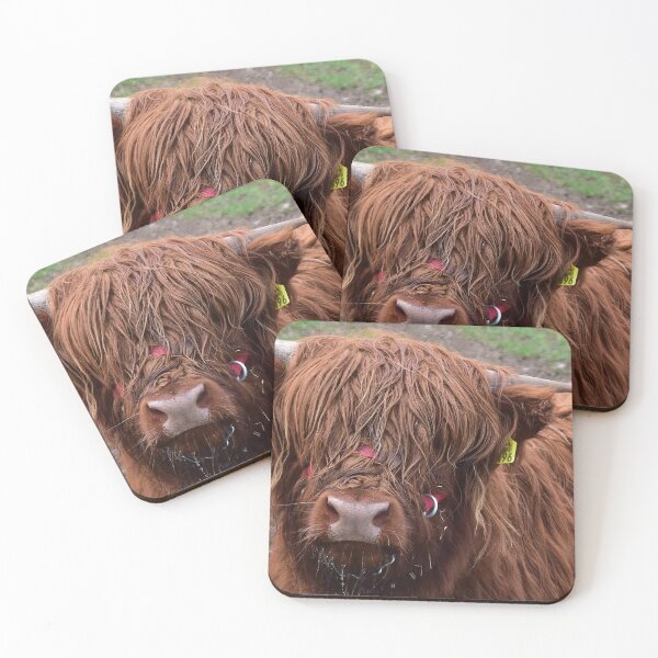 Item preview, Love Cows - Scottish Highland Cattle designed and sold by Glineur.