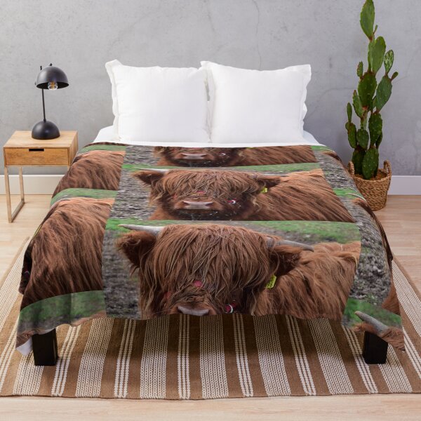 Item preview, Love Cows - Scottish Highland Cattle designed and sold by Glineur.