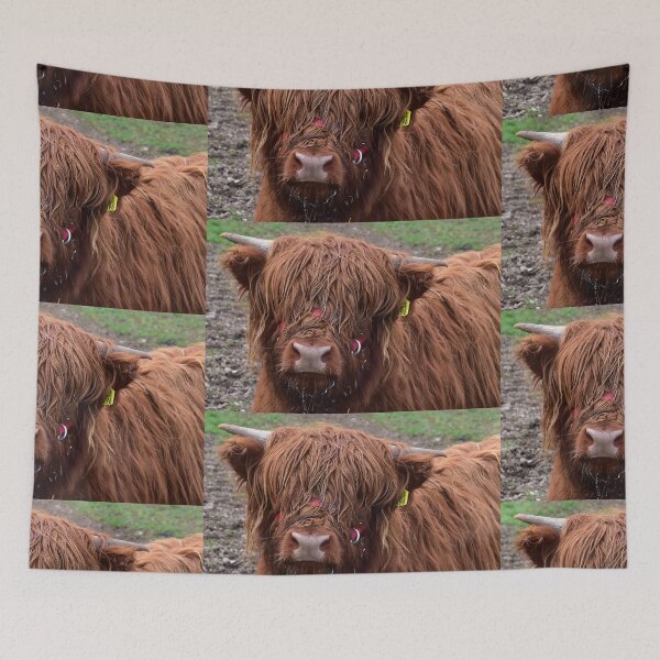 Item preview, Love Cows - Scottish Highland Cattle designed and sold by Glineur.