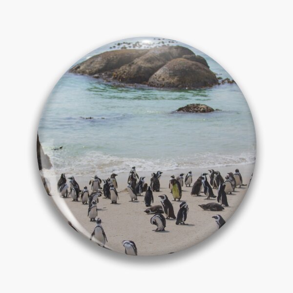 Artikelvorschau, Boulders Beach entworfen und verkauft von twinnieE.