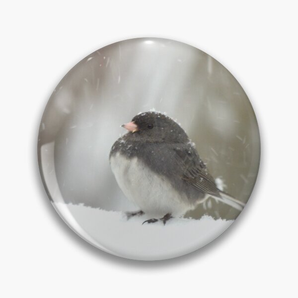 Item preview, Junco in the Snow designed and sold by richardbryce.