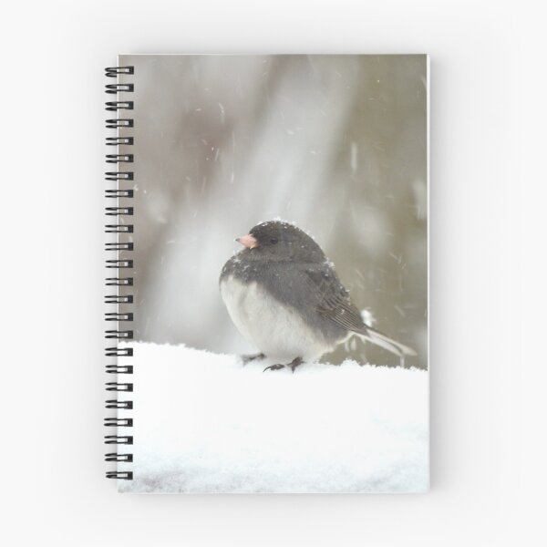 Item preview, Junco in the Snow designed and sold by richardbryce.