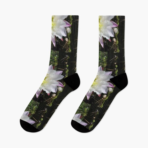 Item preview, white cactus flower Chile designed and sold by Schoensl.