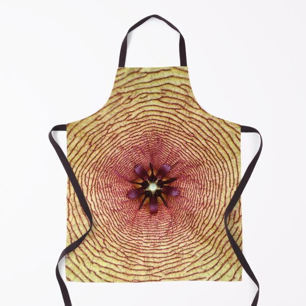 Item preview, Star fish, Stapelia gigantea, South Africa designed and sold by Schoensl.
