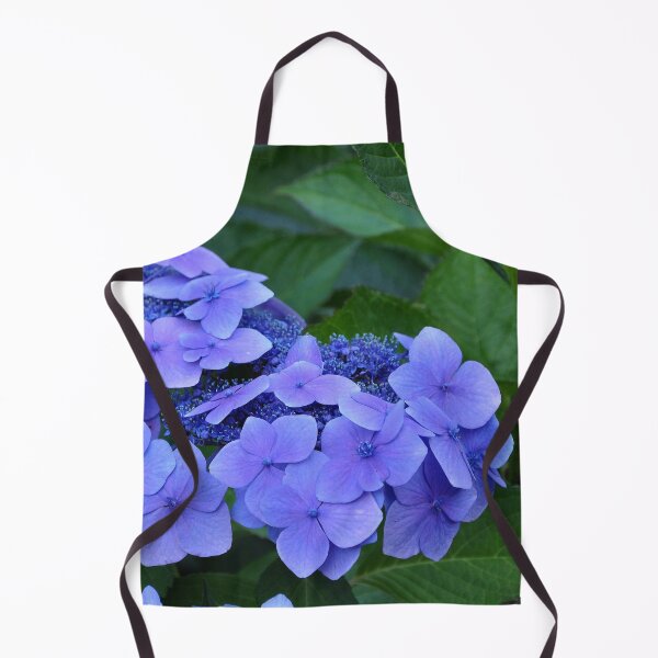 Item preview, hortensia hydrangea Chile designed and sold by Schoensl.