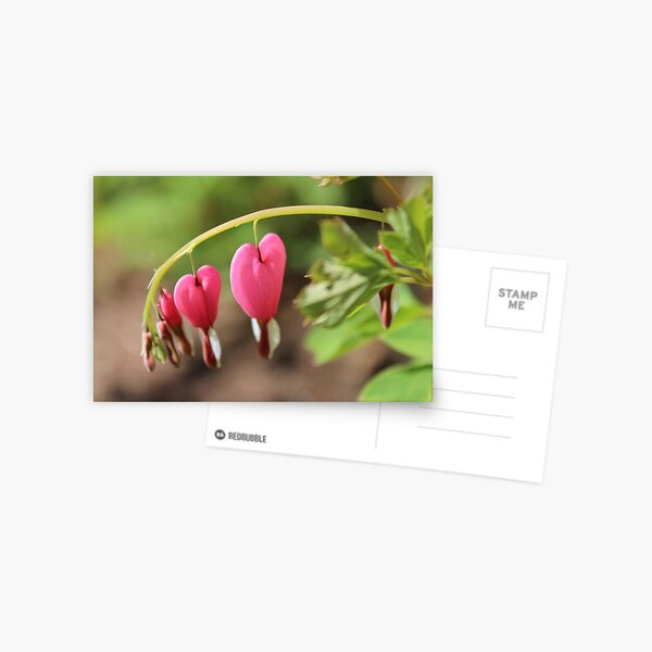 Item preview, Bleeding Heart designed and sold by BCDilworth.