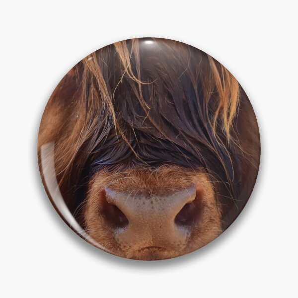 Item preview, Young Scottish highland cattle designed and sold by Glineur.