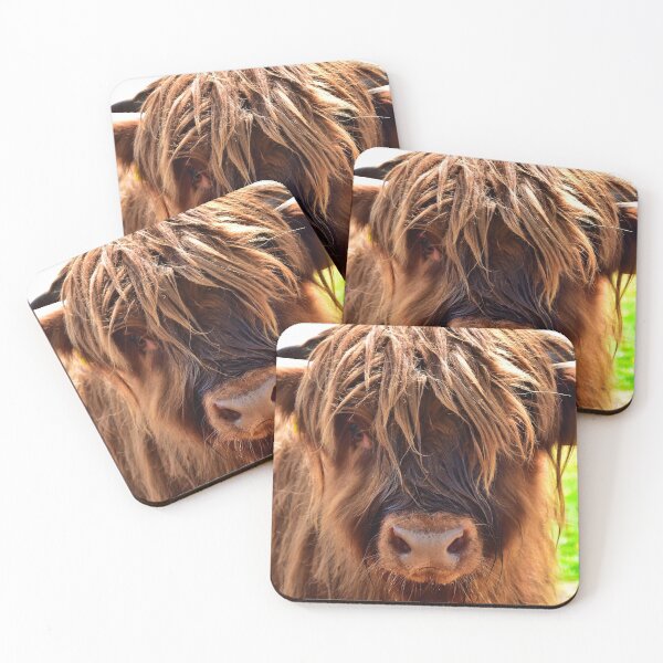 Item preview, Young Scottish highland cattle designed and sold by Glineur.