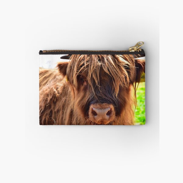 Item preview, Young Scottish highland cattle designed and sold by Glineur.