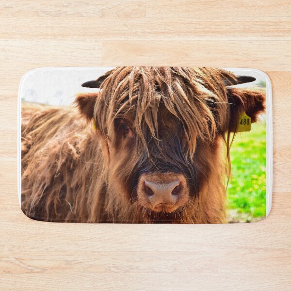 Item preview, Young Scottish highland cattle designed and sold by Glineur.