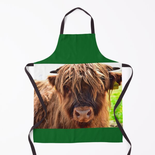 Item preview, Young Scottish highland cattle designed and sold by Glineur.