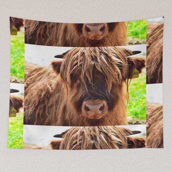 Item preview, Young Scottish highland cattle designed and sold by Glineur.