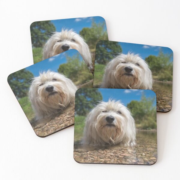 Item preview, Dog on vacation designed and sold by Rritu.
