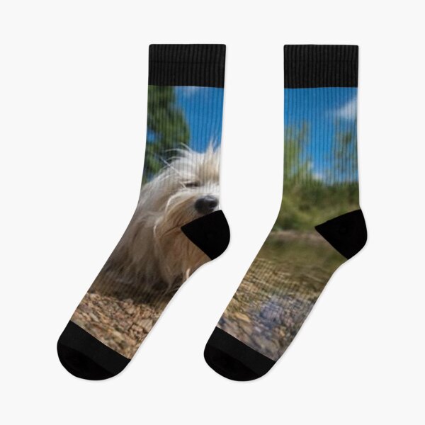 Item preview, Dog on vacation designed and sold by Rritu.