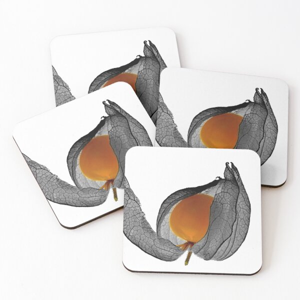 Item preview, Physalis fruits ART GALLERY PICTURE designed and sold by iL PhotoArt Germany.